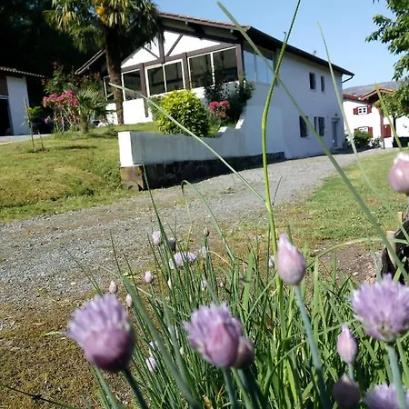 Gîte Etxe Xuri Ossès Extérieur photo