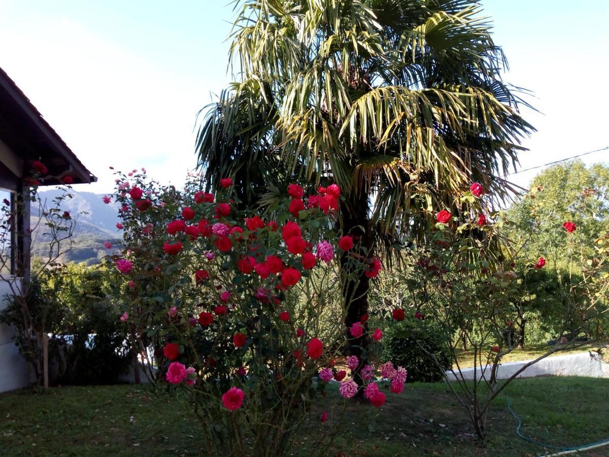 Etxe Xuri Holiday home